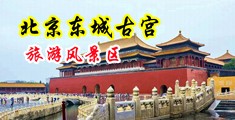 吃我奶舔我逼视频中国北京-东城古宫旅游风景区